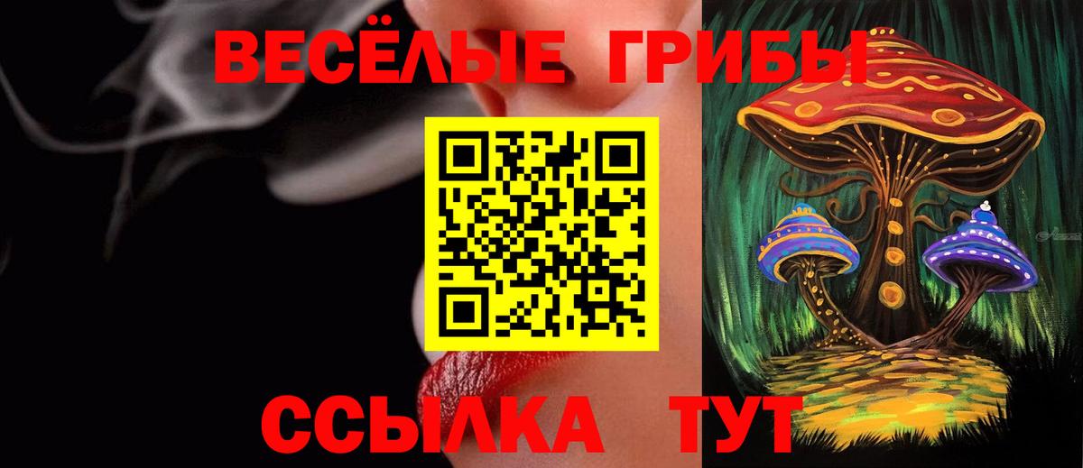 Первоуральск  Галлюциногенные грибы мухоморы  Псилоцибиновые грибы прущие грибы  Вход с VPN 